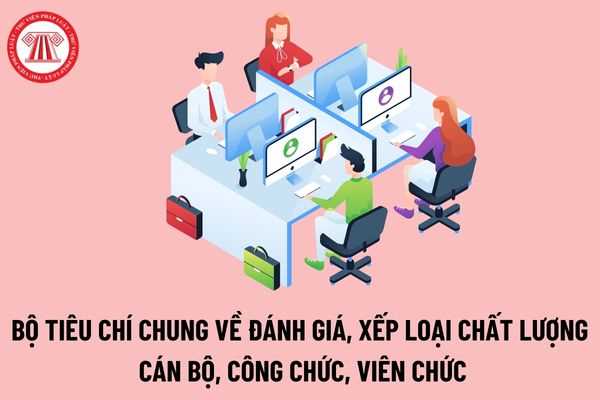 Hướng dẫn số 1119/HD-UBND ngày 07/4/2025 về tiêu chí đánh giá cán bộ, công chức, viên chức và người lao động để thực hiện sắp xếp tổ chức bộ máy, tinh giản biên chế và cơ cấu lại, nâng cao chất lượng cán bộ, công chức, giải quyết chính sách, chế độ và thủ tục, hồ sơ theo Nghị định số 178/2024/NĐ-CP ngày 31/12/2024 của Chính phủ và Nghị định số 67/2025/NĐ-CP ngày 15/3/2025 của Chính phủ về sửa đổi, bổ sung một số điều của Nghị định số 178/2024/NĐ-CP.