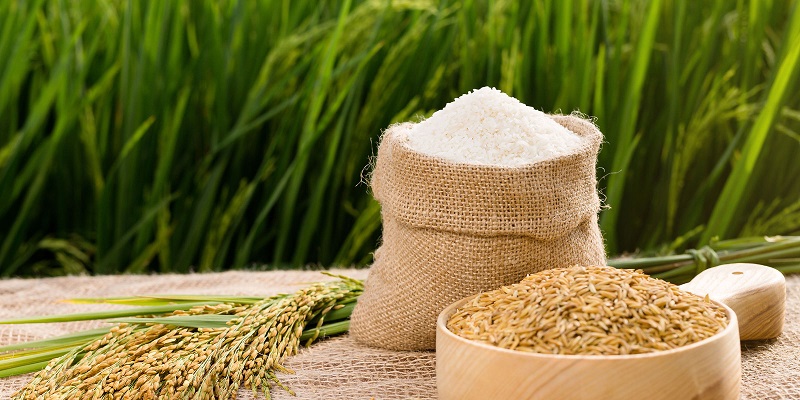 RƯỢU NẾP CÁI HOA VÀNG THÔN ĐĂK NO - XÃ NGỌK TỤ